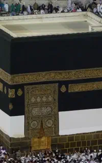 فروش فوری یک‌فقره**فیش حج تمتع**