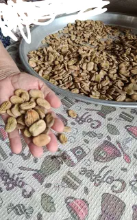 باقلی محلی