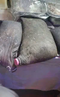 مشک یا خیک ماست