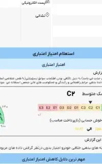 ضامن c