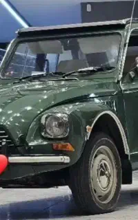 ماشین ژیان
