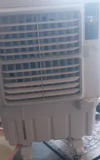 کلر درحد نو