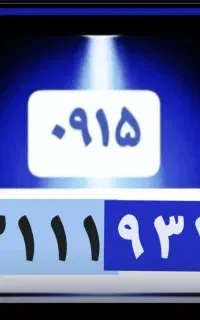 0915-3111-933