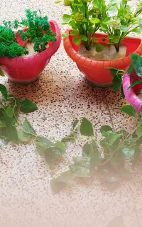 وسایل تزیینی
