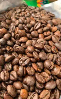 پخش دان قهوه