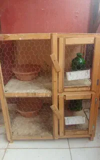 قفس چوبی