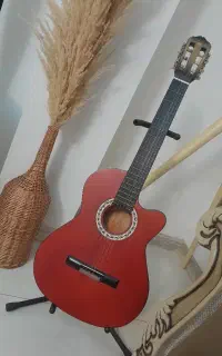 گیتار به همراه کیف