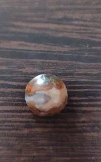 شجر پاییزه ناب