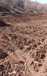 کارگر ساده