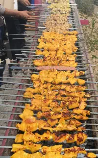 همراه با خانواده در تنها مجتمع جنگلی استان یزد