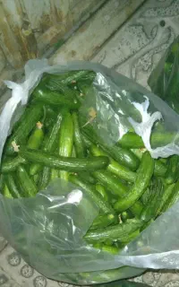 خیار