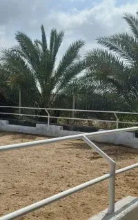 پانسیون (نگهداری) اسب
