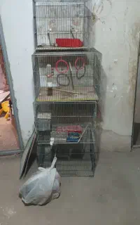 فروش ۲ عدد قفس پرنده (به صورت تکی هم امکان پذیره)