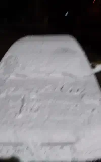 کبوتر