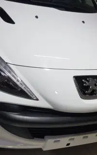 راننده شخصی و خدمتکار