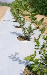 نایلون حفظ رطوبت خاک