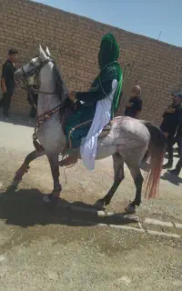 خریدو فروش اسب