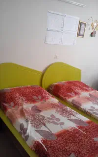 سرویس خواب بامبو درحدنو