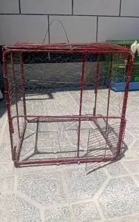 قفس
