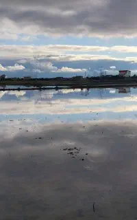 همراهی گرم و صمیمی برای ماجراجویی های دو نفره