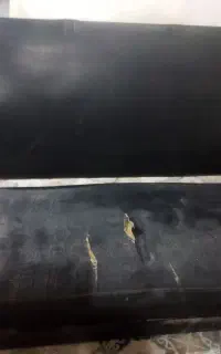 سندلین طرف شاگرد خاور