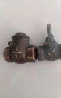 شیر برنجی سنگین