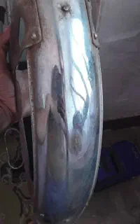 اگزوزوگلگیرکاملا سالم