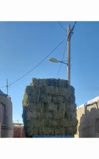 سلام یونجه ۲۰ تن فروشی