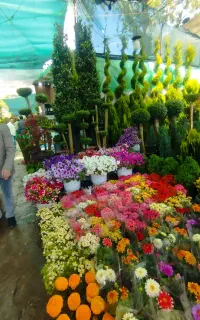 خدمات باغبانی ویلا سازی طرح ها مختلف. در تهران