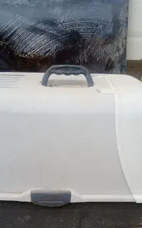 باکس سگ وگربه
