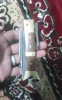 چاقوی دم ماهی