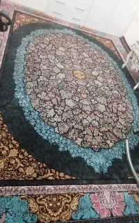 سگ پامرین پرتقالی ماده دو سالونیمشه ولوازم خانه