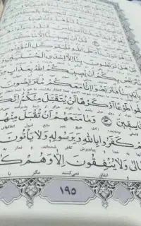 فال وطالع بینی