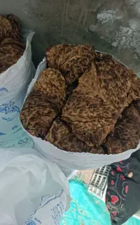 برگ خشک شده گل