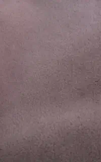 موکت پالاز