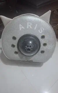 باکس  سگ