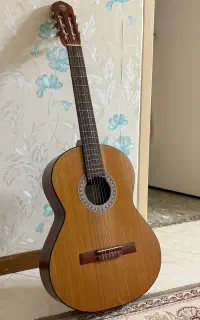 گیتار دالاهو