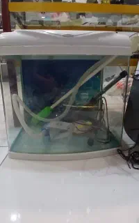 آکواریوم و لوازم
