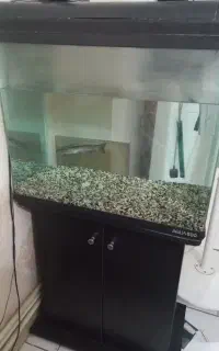اکواریوم