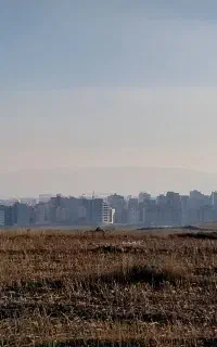 زمین زراعی در سرعین