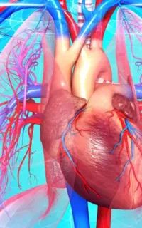 تدریس خصوصی درس زیست شناسی تمام پایه ها