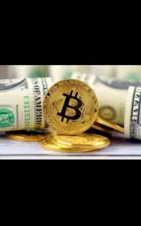 سیگنال با ما