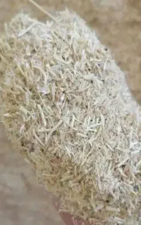 کاه نخود فروشی