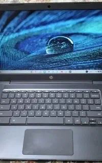 کروم بوک 14اینچhpسلرون نسل۷در حد نو