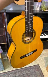 گیتار فلامنکو Fernandez پیکاپدار