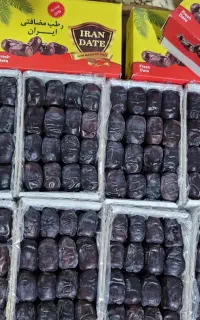 فروش خرمای مضافتی بم