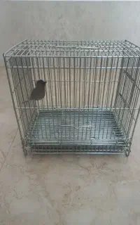 قفس پرنده