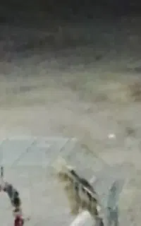 گمشده