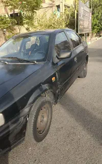 سمندمشکی ۸۱