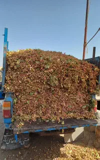 کرایه نیسان کمپرسی